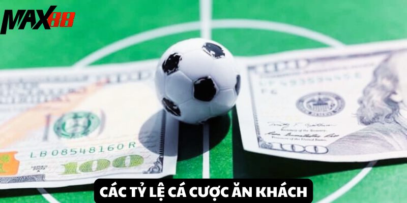 Top tỷ lệ cá cược ăn khách đình đám trên thị trường tại MAX88